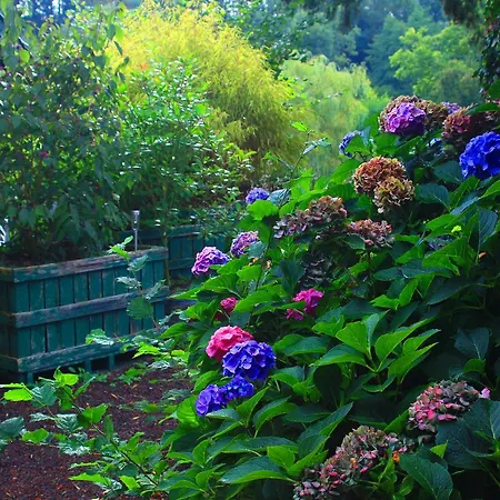 Дом отдыха La Baudriere